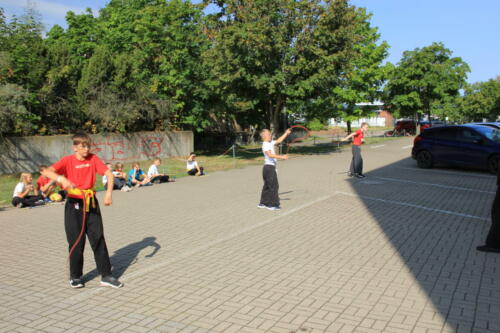 IMG 0850 (1)